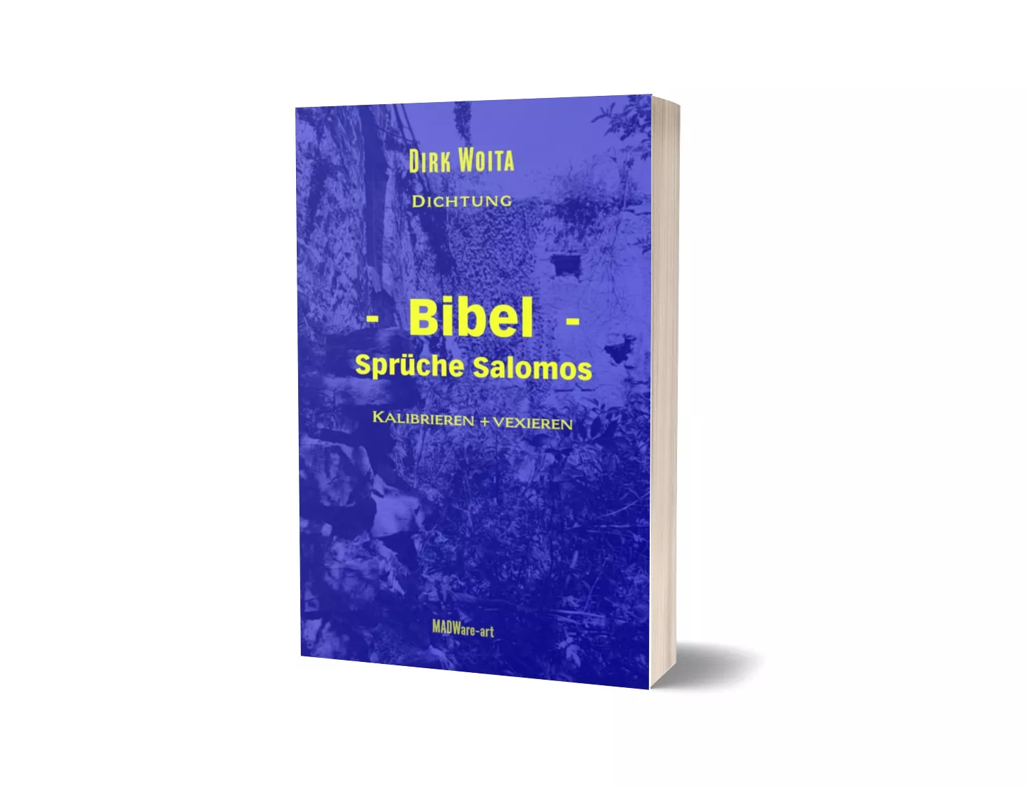Bibel, Sprüche Salomos von Dirk Woita